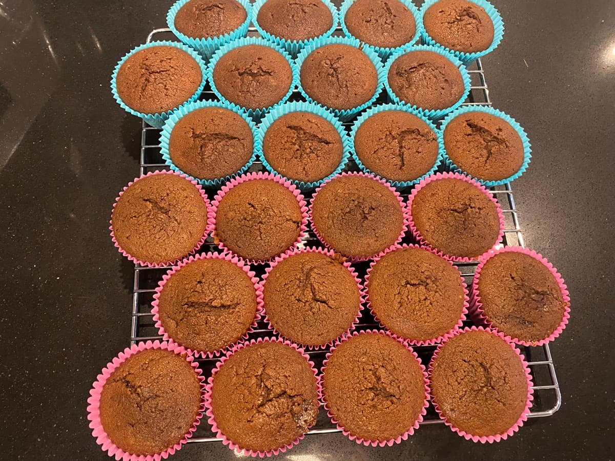 Chocolate cupcakes cooling on the rack